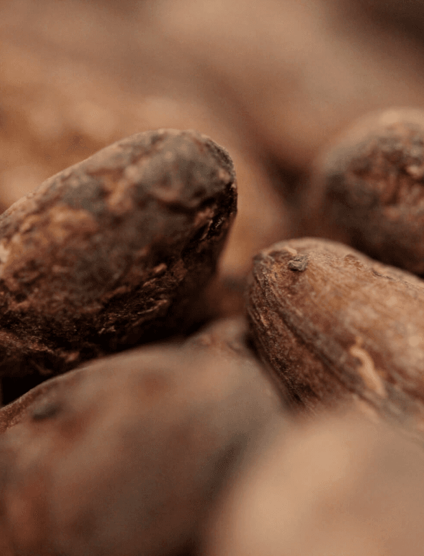 Reviving cocoa's mythical taste experience with